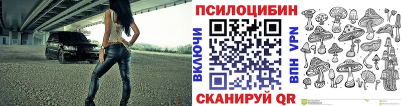 наркошоп  Артёмовск  Псилоцибиновые грибы Magic Shrooms 